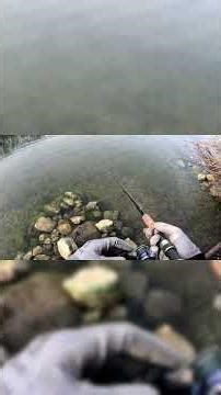 #nays #savagegear #fishing #spinnfischen #banks #twim #madmax #predator #nays #lurefishing #angeln