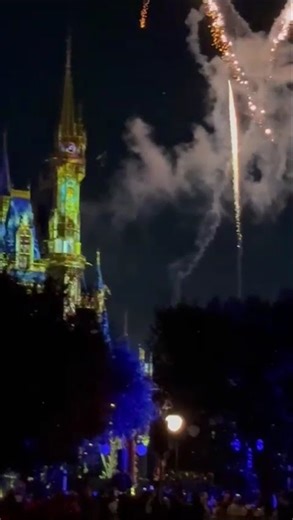 Tinkerbell flies! #whoeverneedstoseethis #disney #disneyparks #wdwadults