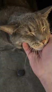 It’s funny the mundane things that you really miss doing with people or make you remember them