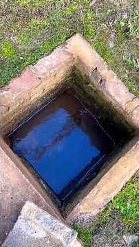 Panacea Mineral Springs