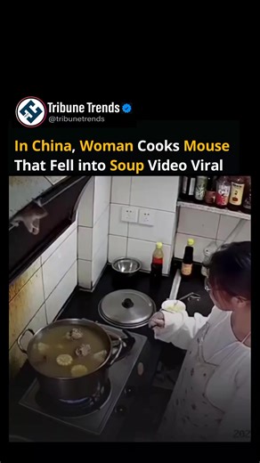 A Chinese woman was shocked when a mouse fell into her soup, but she later cooked it with the soup. Disclaimer: This content is for entertainment purposes only. #ShockingMoment #ViralVideo #Entertainment #UnexpectedEvent #FoodStories #CrazyMoments #TrendingNow #Tribunetrends | Tribune Trends