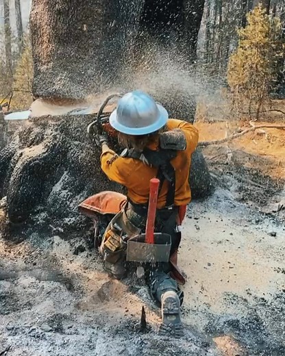 Oldie but goodie #treefaller #saw #stihl #outdoorjob #foryou #logging #wildfire #femalearborist #bluecollar #treework #fyp #arborist #womenintrades | Treebeing | Facebook