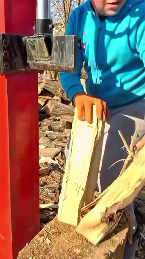 Verctical Log Splitter #firewood #woodwork