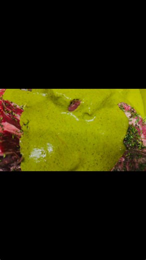 Kai norisi mesos💣 | Hashtagas By Justin Chef