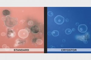 CryoStor® Cryopreservation Protocol