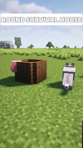 VikkiMineB6 on TikTok