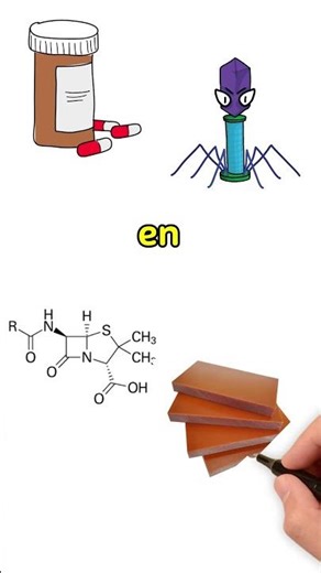 The 10 Inventions That Changed History🚀