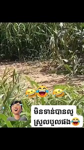 2.7M views · 10K reactions | #ធ្វើបាបអូន  #fb #reallife #MMO...