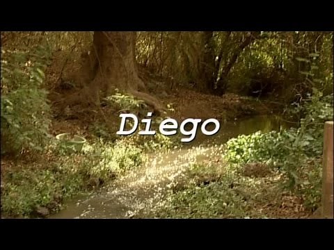 SUPER FLICS - saison 1 - EPISODE 20 - Diego