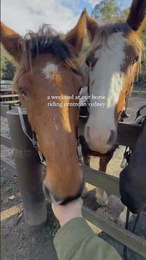 Weekend Horse Riding Adventure at Glenworth Valley