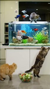 Tiny Cats vs Smart Aquarium! 😂🐟 | Epic Kitchen Battle! #funnycats #catvsfish #viralshorts #animation