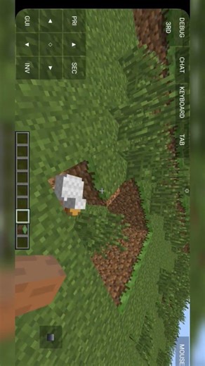 старые воспоминания в Minecraft. Java edition в apk