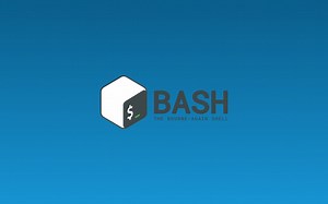 太玄的Bash课操作演示