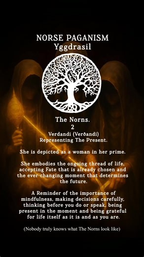 NorsePaganism on TikTok