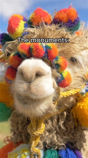 3.9K views · 32 reactions | There is so much to see in Peru, not only llamas and alpacas. 蓮 Machu Picchu, stunning architecture, Incan ruins, and a thriving art scene. Fly to Peru from $465 Round Trip!  Usually $900+! More info: https://l.travelpirates.com/uhcbN #peru #perutravel #llamas #alpacas #cheapflights #southamerica | Travelpirates.com | Facebook