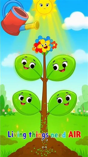 What Do Living Things Need? Air, Food & Water | P3 Science