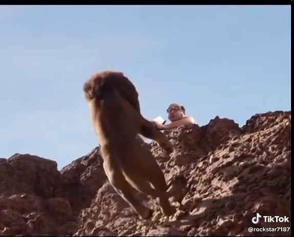 The Lion King: A Punk Twist on Classic Disney