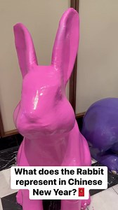 Chinese New Year 🧧 #chinesenewyear #chinese #rabbit | Network Media Skits
