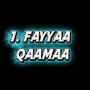 Fayyaan maali?/What is health?/WHO definition of health