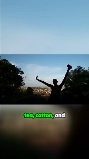 Why Ugandan Robusta Coffee Is in High Global Demand ☕🌍 | Africa’s Coffee Powerhouse