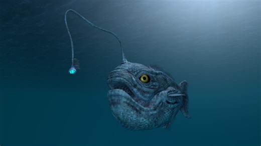 9 Animals That Reproduce in Truly Bizarre Ways