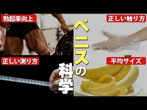 The science behind the penis: How to make it bigger, the science behind increasing erection rate,...