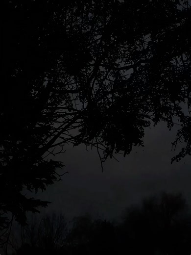 Stay true to yourself and keep your stress low!! #StressKills #MentalHealth #Overwork #Burnout #WorkStress #NoStress #MentalHealthAwareness