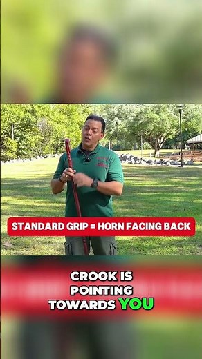 Cane Secrets: Mastering Discreet & Safe Walking Techniques #shorts