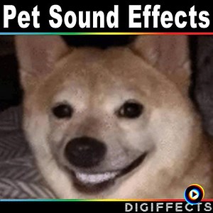 Siberian Husky Dog Panting and Whimpering by Digiffects Sound Effects Library