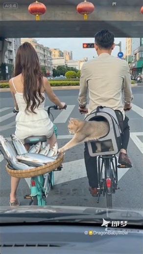 I was so close! 🥴🐱 #cat #แมว #gatto #funny