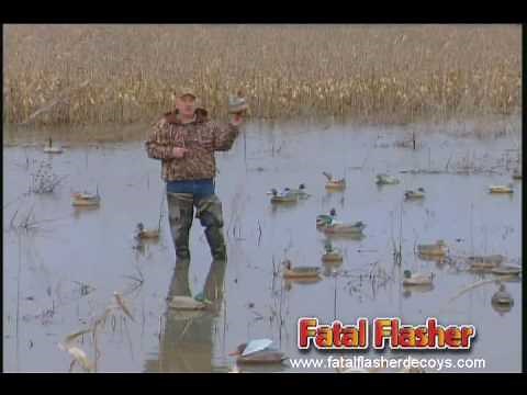 Fatal Flasher Duck Decoys