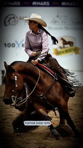 💥A 221 in the Open Bridle Herd Work for 'Spanish Nights' 😇🐴 & Veronica Swales! #nrcha