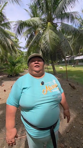 Turning on the sound FM and AM radio always at chicken layer house🐔🏠 #fbreelsfypシ゚viralfbreelsfypシ゚viral #everyoneシ゚ #sound #chicken #highlightseveryone | Pennie A. Buhian