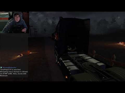 FACECAM EURO TRUCK SIMULATOR WITH LOGITECH G29 JOIN UP!