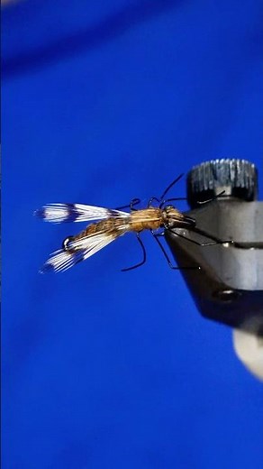 VERY realistic mosquito fly pattern