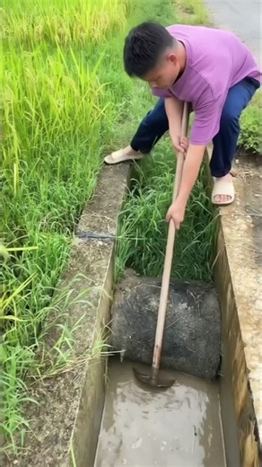 💦🌱This video showcases an efficient method of managing