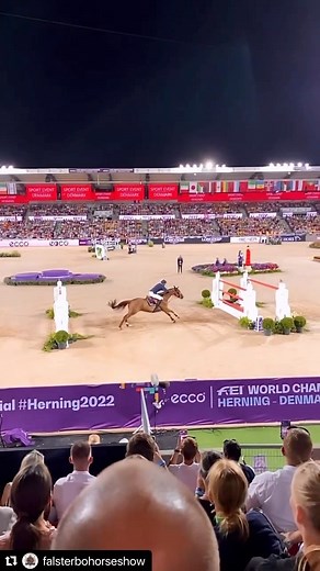 SHOWJUMPING NEWS on Instagram: "💛💙 Congrats to Henrik v. Eckermann for remaining #1 in the world for another month! #horsesofinstagram #repost @falsterbohorseshow • • #Repost @falsterbohorseshow with @use.repost ・・・ GULD 💛🥇 @henrikvoneckermann_ & KING EDWARD. En historisk dag och helg 💙💛💙"