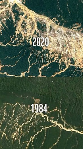WWF International on Instagram: "🌳Deforestation like this is drastically reshaping landscapes. And the impact goes beyond the visible: ecosystems are disrupted, biodiversity lost, and livelihoods endangered. But united, we can reverse this trend – by advocating for change, supporting sustainable practices, and championing people and nature. How are you helping to protect nature? Let us know in the comments 👇"