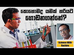 ලෝකයේ ප්‍රබලතම ඉංජිනේරු මූලධර්මයක් : කැමරාවේ පරිණාමය ඇසුරින්