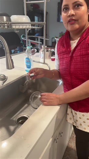 How to Clean Your Garbage Disposal with Bubclean