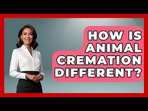 How Is Animal Cremation Different? - Archaeology Quest
