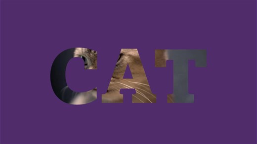 PRI Japan on Instagram: "【PRIme動画配信！】 毎週金曜日はPRI Japan公式動画配信サービス、PRIme(プライム)の新講義公開日！ということで今日はその動画のサンプルをお届けします。PRI介入を検証した論文をじっくり読んで検討するCAT講義のEpisode 2です。フルバージョンはPRIme会員ページにて公開しております！ サブスク詳細はこちらから: https://www.prijapan.llc/subscription"