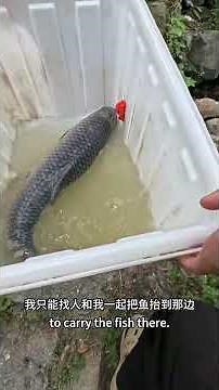Set up a railing in the cesspool and put a 25-pound grass carp in to test the waters.