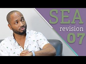 SEA Revision 7 - Fractions