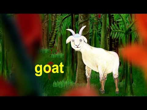 Learn the ABCs in Lower-Case: "g" is for gorilla and giraffe