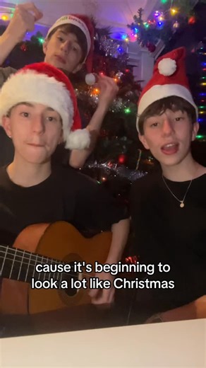 Birdland on Instagram: "It’s feeling like Christmas so we didn’t even fight 🥹😊 #christmas #itsbeginingtolookalotlikechristmas #xmas #triplets #perth"