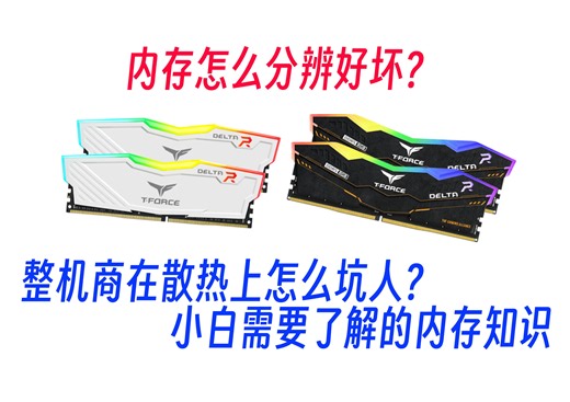 【整机分析特别篇#2】内存怎么分辨好坏，来简单了解下内存吧
