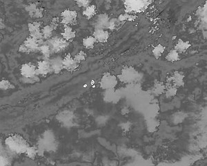 Hardin County Fire Department, Savannah Tennessee on Reels