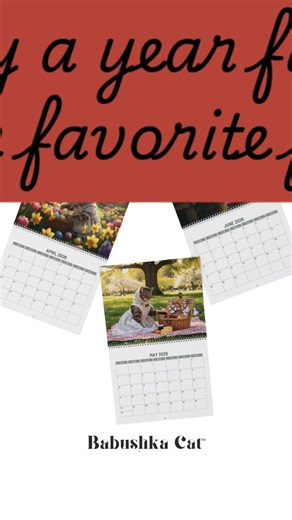 20K views · 308 reactions | www.babushkacat.com | Babushka Cat | Facebook