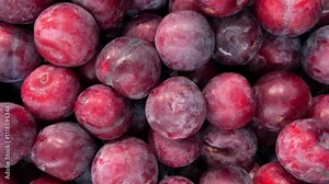Plums arranged on the greengrocer's counter, tracking shot of plums in top view